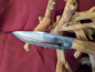 Preview: Messer mit Holzgriff 5024